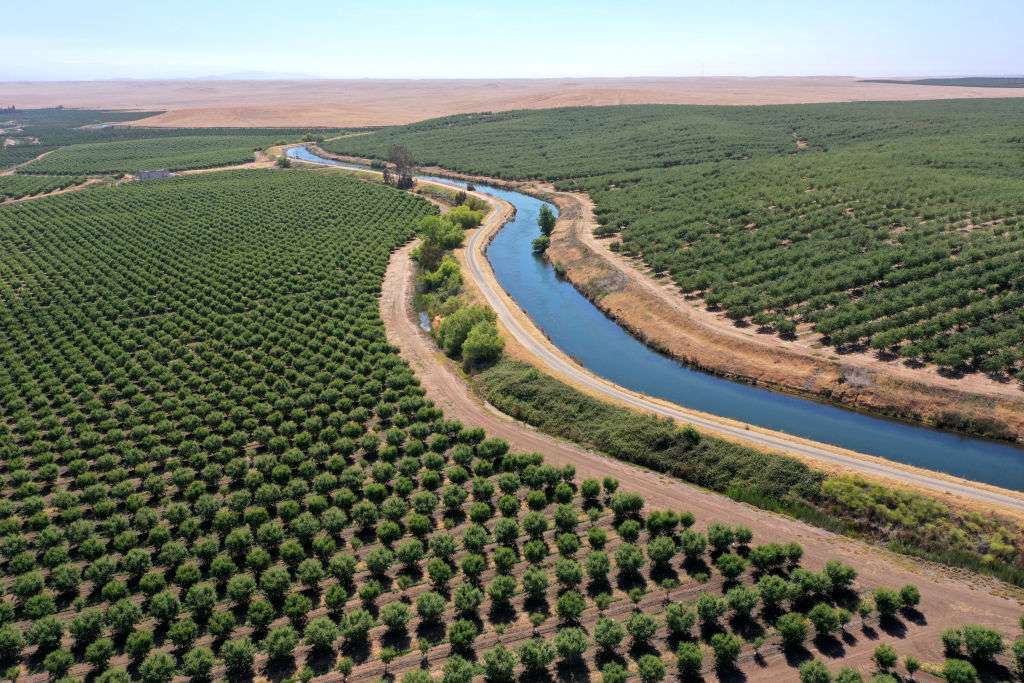 Aerial view of irrigation canal running between California almond orchards“width=