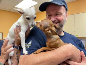 Tim woodward with puppies