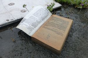 湿的书放在地上