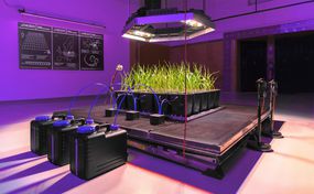 Disnovation vertical farm