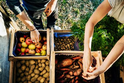 Urban Farmers Organising Crates Of Fruits And Vegetables On Truck“width=