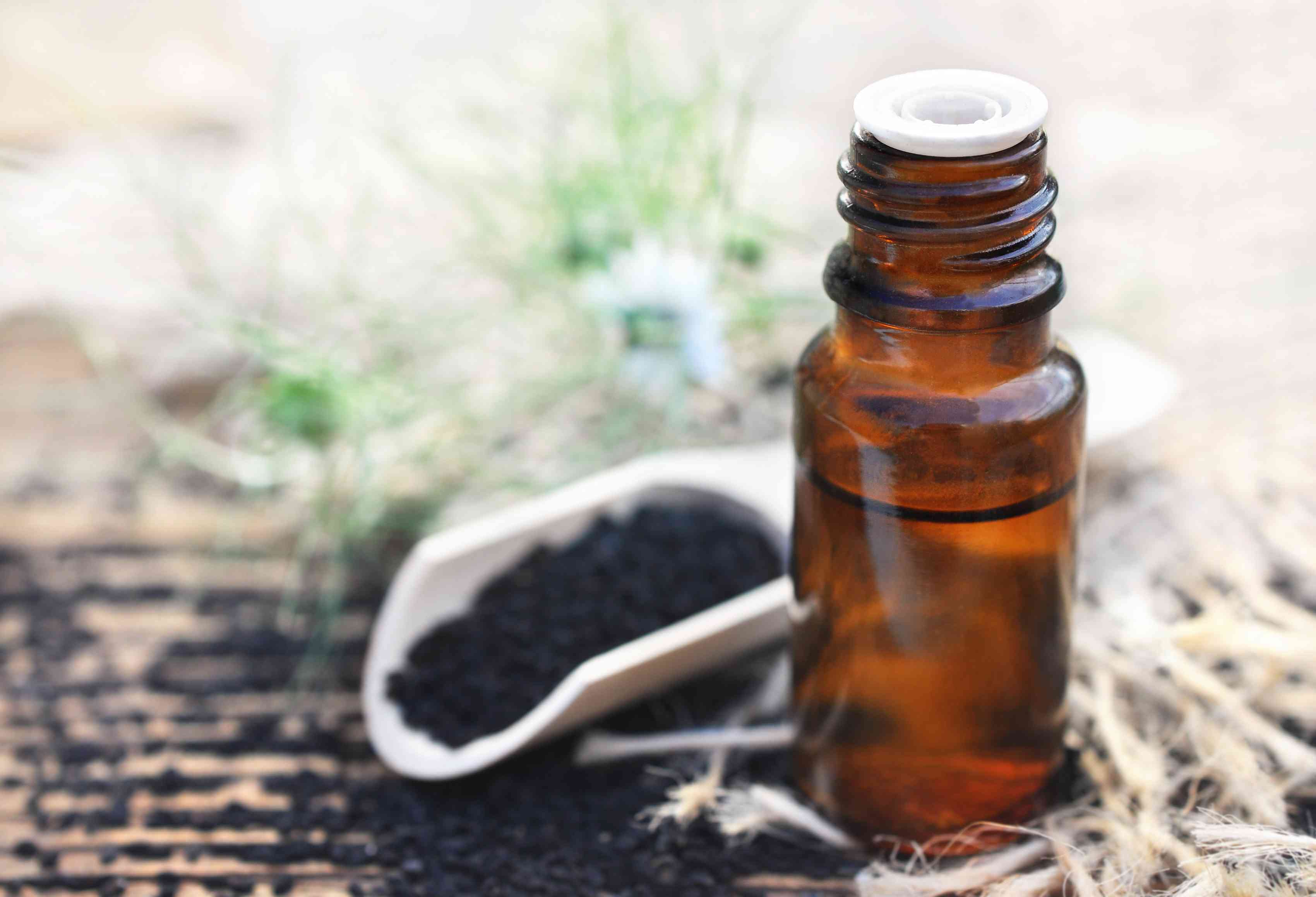 Black cumin (nigella sativa or kalonji) seeds oil on cumin plant background