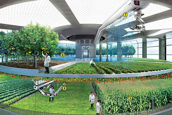 skyfarming