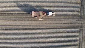 Top down Aerial view of a farmer harvesting potatoes. He is using big agricultural equipment for it.
