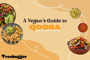 qdoba素食者