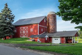 classic red barn with grain silo with large trees and blue sky
