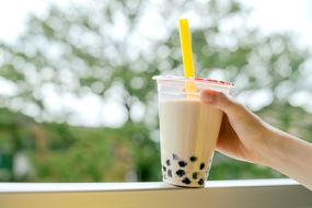 Human hand holding a cup of iced cold bubble tea with milk and tapioca pearls