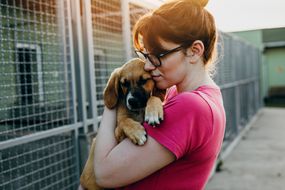 pet adoption agencies