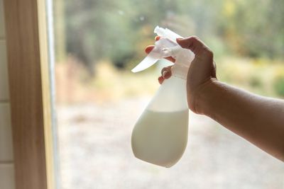 hand shows off DIY neem and castile soap spray as natural insecticide in front of window“width=