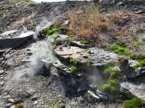 Smoke from an underground goal fire rises out of the ground.