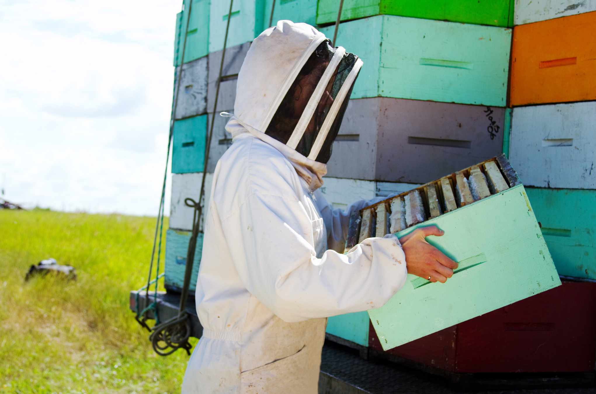 Person in protective gear loading hives onto truck“width=