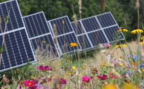 solar panel in a field