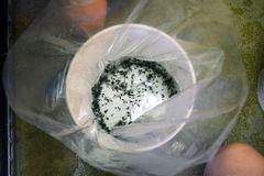 波多黎各人在
