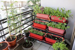 红色的容器堆放在阳台花园里种植蔬菜。