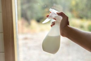 在窗前展示DIY印楝和castile肥皂喷雾作为天然杀虫剂