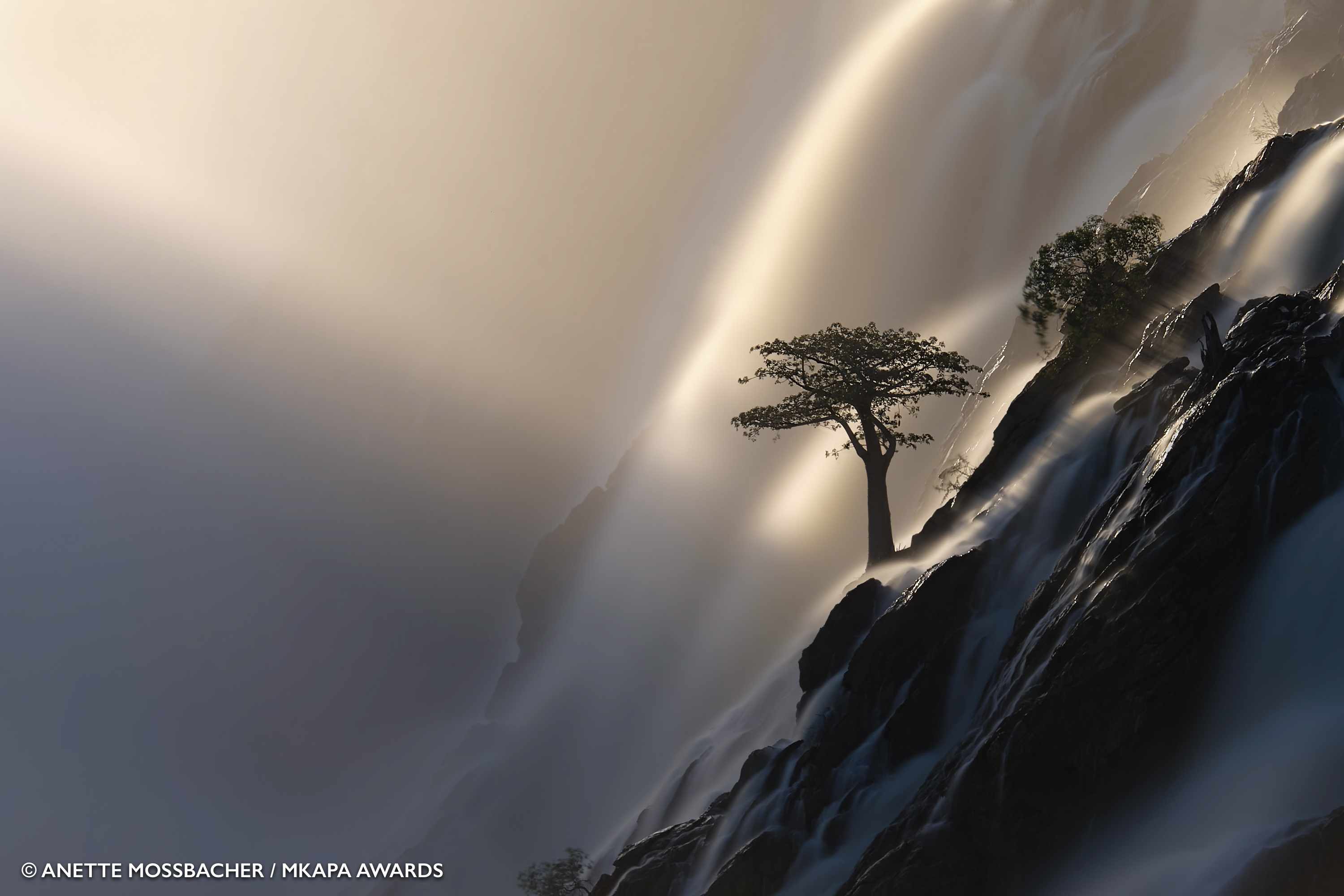 waterfall and baobab tree“width=