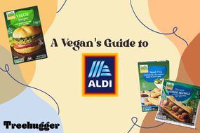 aldi vegan